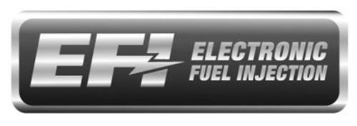 efi-electronic-fuel-injection-77768910